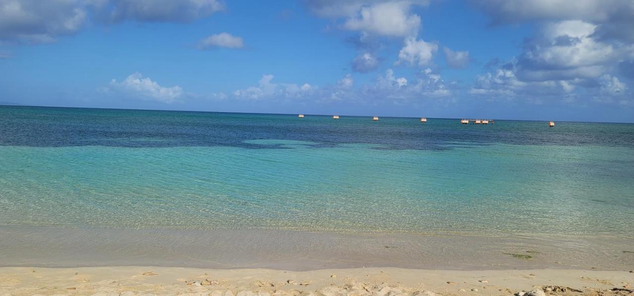 Airport Beach Hotel Montego Bay Exteriér fotografie